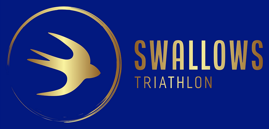Color logo with background_edited.png