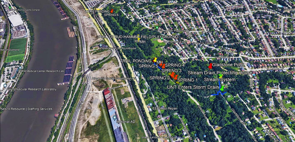 An overhead view of the northern section of Hazelwood, with the Monongahela River on the left. In the center, the closed section of Sylvan Avenue is labeled with pins that say "trail ponding," and springs numbered one through five.