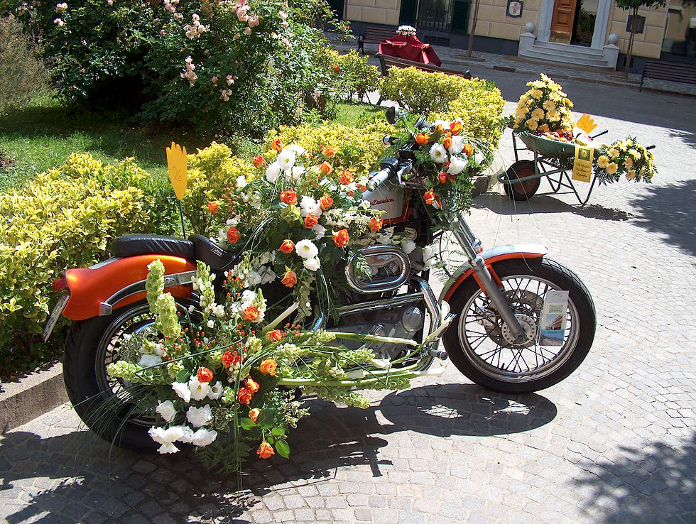 HPIM4857.JPG