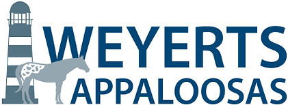 Weyerts_Logo.jpg