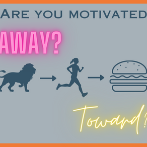 What's your flavour of motivation?