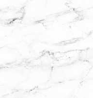 marble backdrop.jpg