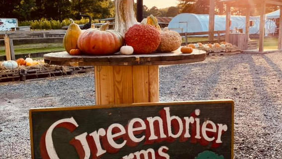 Chesapeake VA Pumpkin Patch