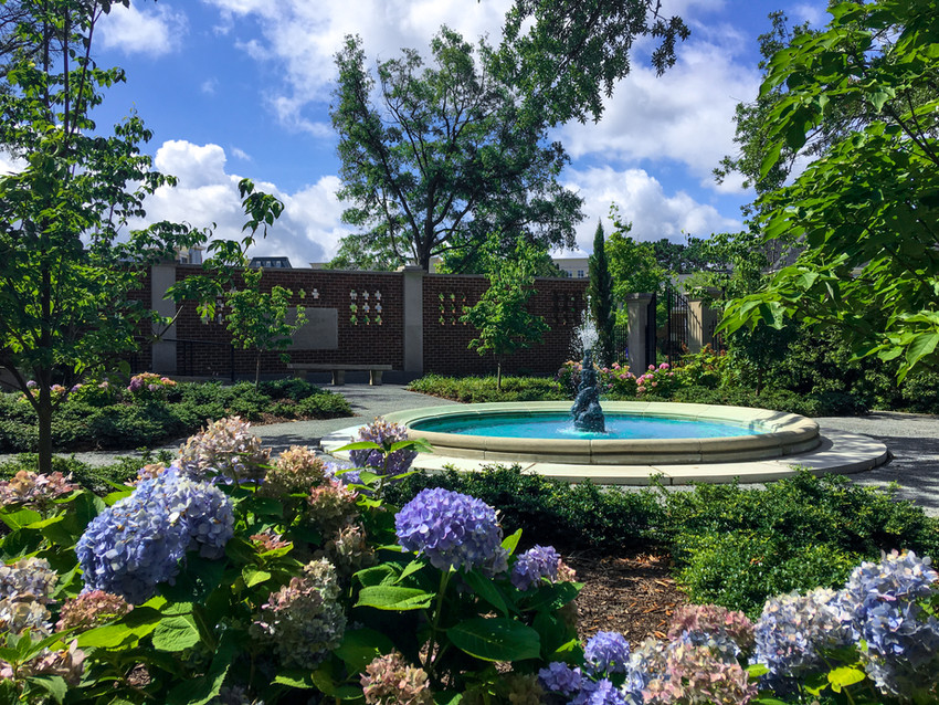 Commercial Landscape Maintenance | Basnight Land & Lawn