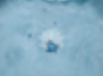 106_edited-w