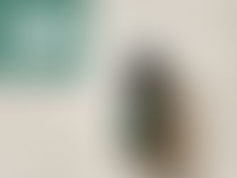 Eucalyptus Essential Oil