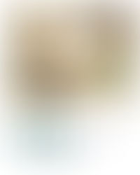 April's Free Essential Oil