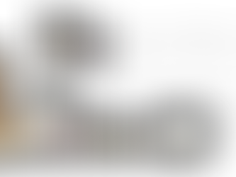 BOGO Box: 11 Oils. 1 Beautiful Box. HUGE Savings.