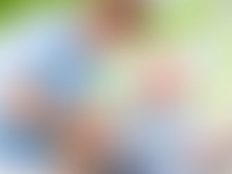 Cual es el costo de un asilo de ancianos en 2024?
