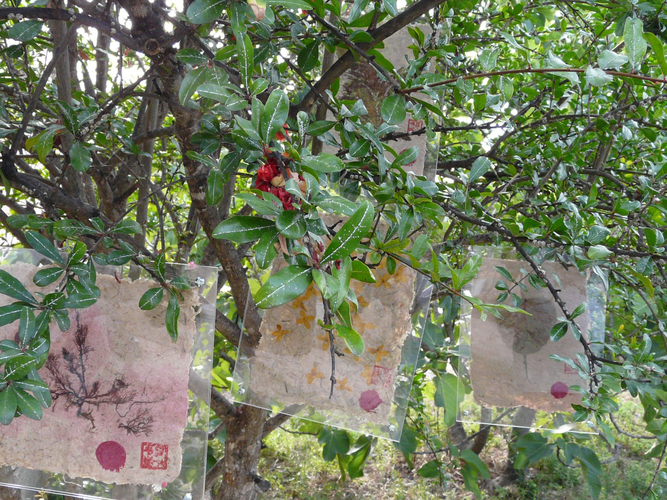 Expo Photos dans les arbres