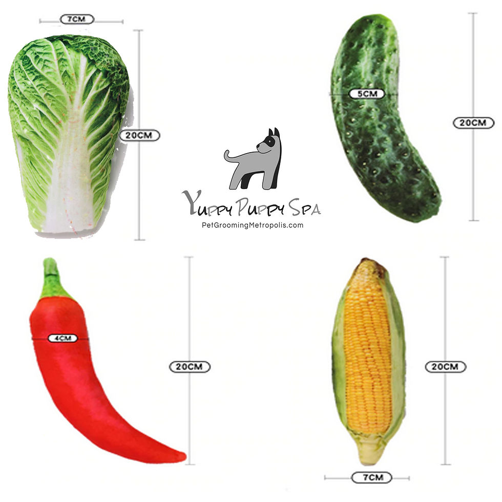Thumbnail: Pet Food Toys