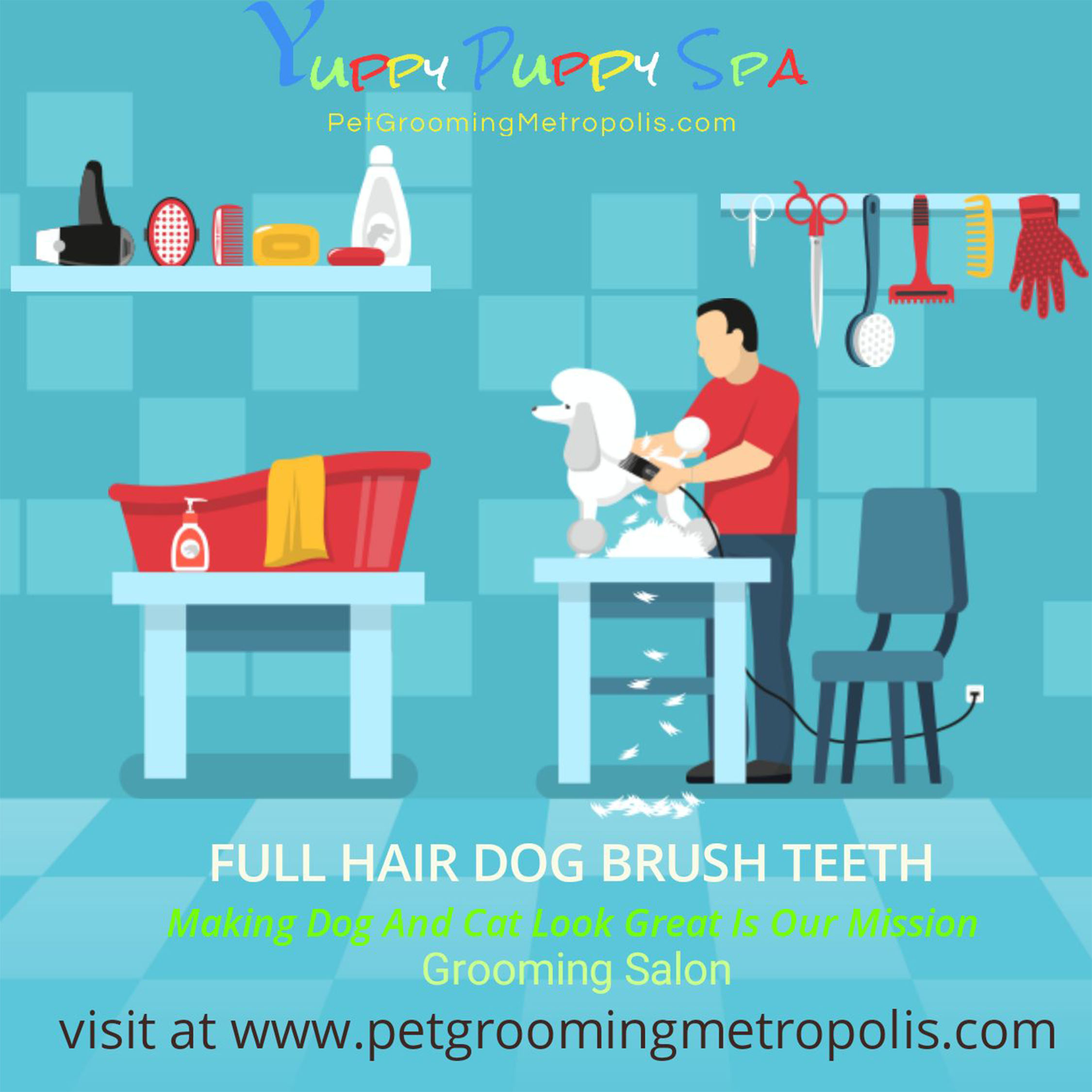30 Off for New Customer Dog Grooming Markham Yuppy Puppy Spa