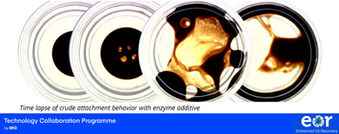 2021-2022 Enzyme treatment for the Enhanced Recovery of Crude Oil
