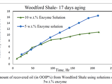 Experimental Investigation on the Application of Biological Enzymes for EOR in Shale Formations