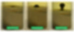 ENZYME ENHANCED OIL RECOVERY (EEOR),THE TECHNOLOGY PRINCIPLE