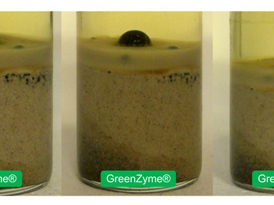 ENZYME ENHANCED OIL RECOVERY (EEOR), THE TECHNOLOGY PRINCIPLE