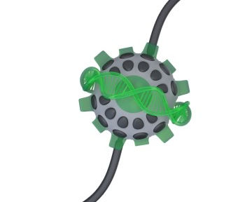 Potentials of Enzyme Enhanced Oil Recovery: A Review