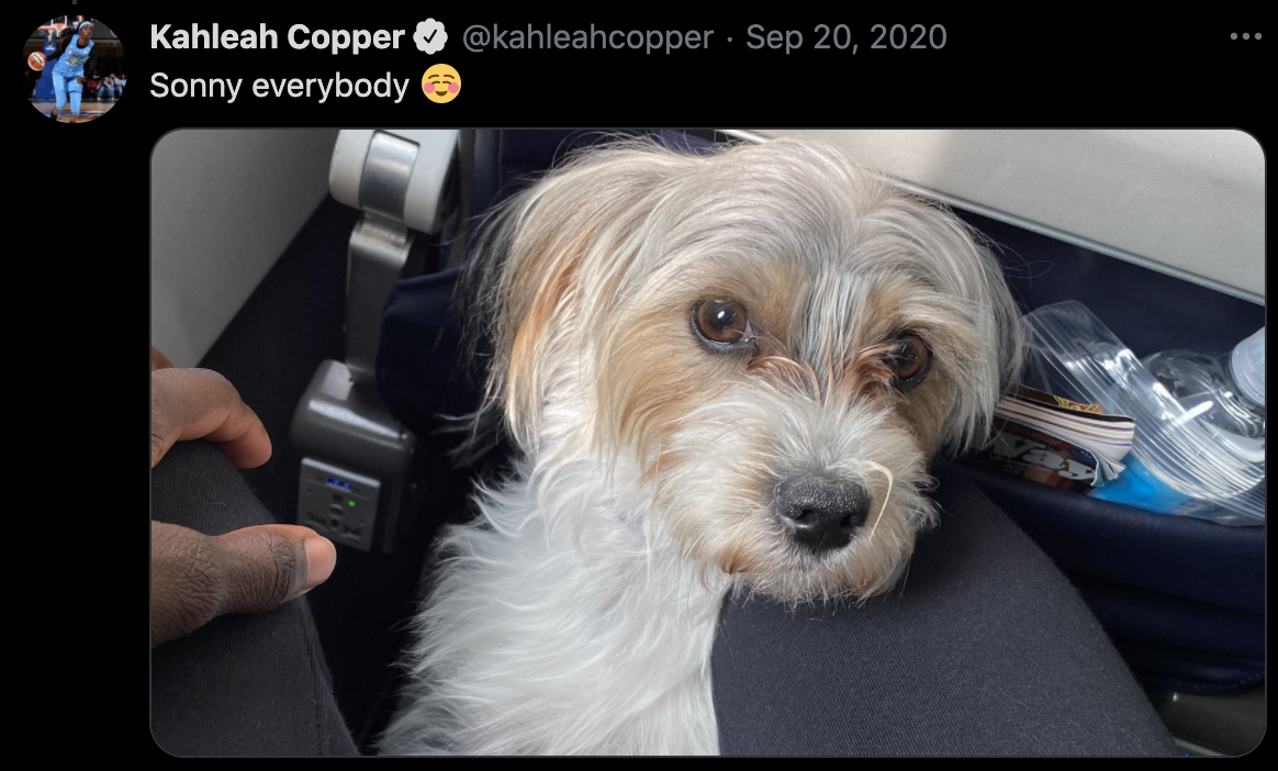 Kahleah Copper and Sonny