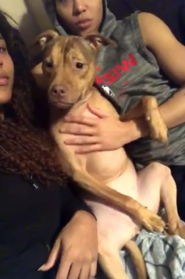 Natasha Cloud and Anonymous Puppy