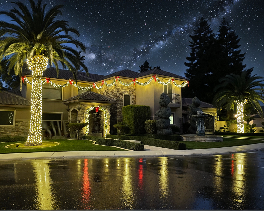 Home with a palm wrapped in lights and roofline lighting