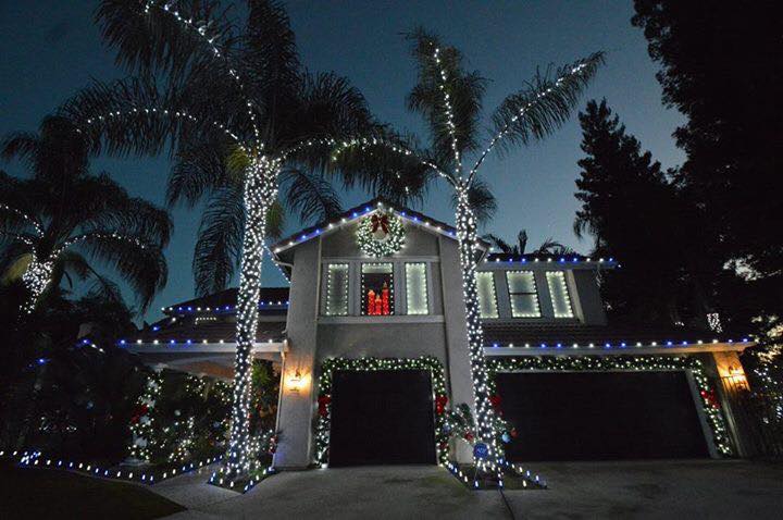 Home with palms wrapped in white lights