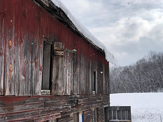 IMG_2683.jpeg