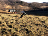 IMG_0472.jpeg