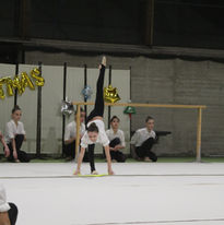 IMG_8255.JPG