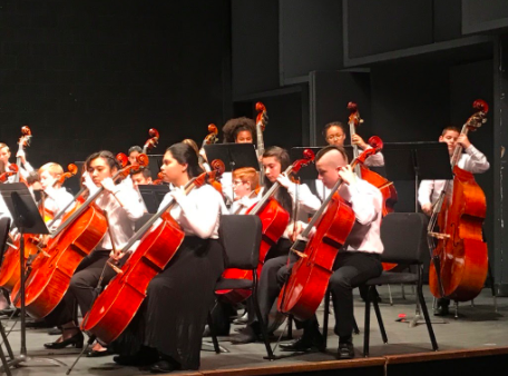 Orchestra