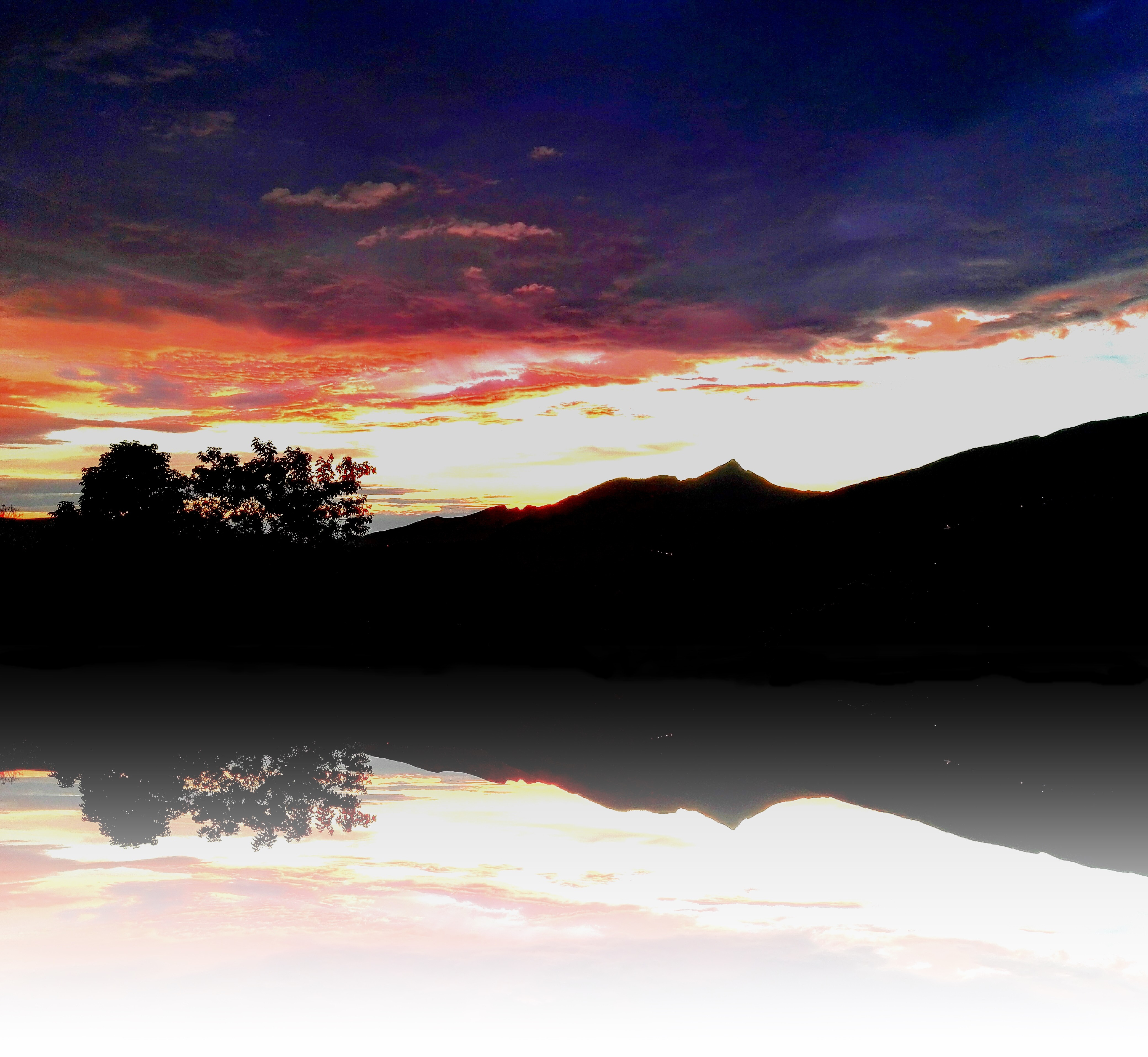 Reflejos