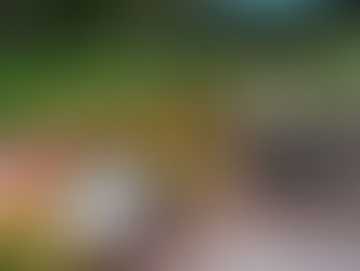 creating spaces for outdoor fall gatherings