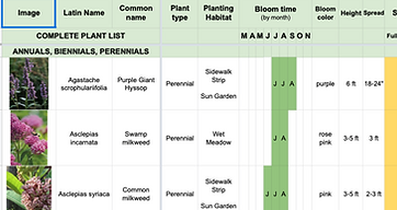 Screen Shot 2021-03-01 at 4.13.07 PM.png