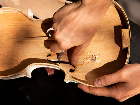 tonewood for guitars