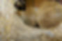 DSC02116.jpg