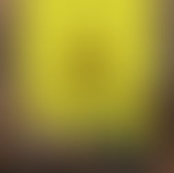 Gutes aus Filz & Loden