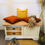 Miniature : Table basse coffre en merisier