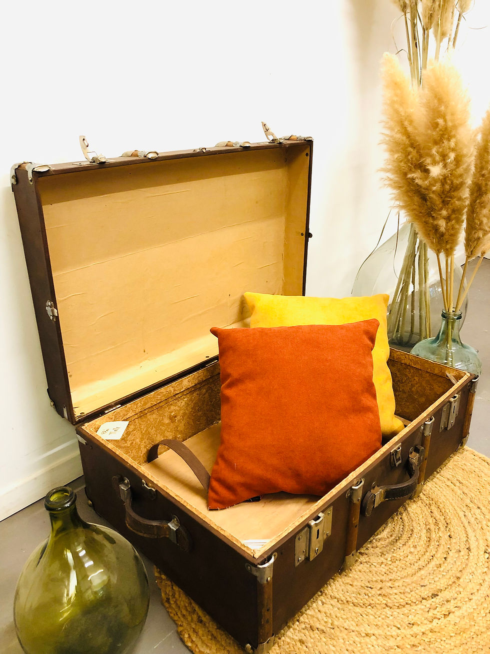 Miniature : Ancienne malle de voyage vintage