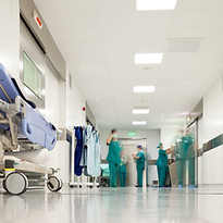 iStock-178382075.jpg