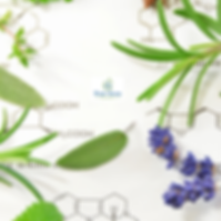 GlyIT_Homepage (2).png