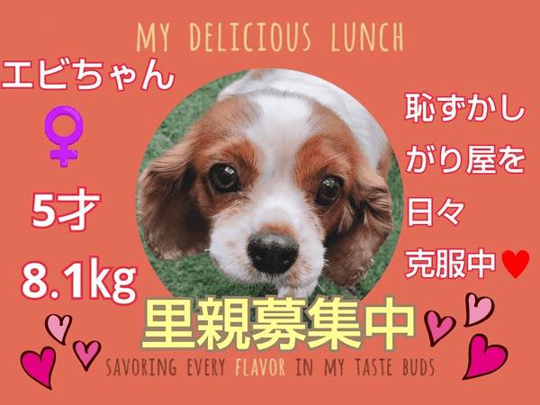 募集中.gif