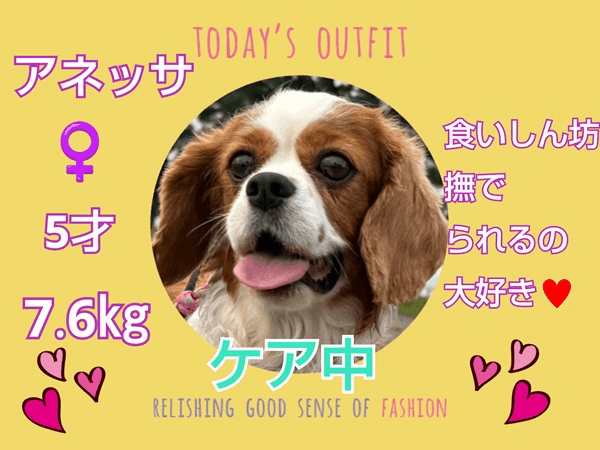 募集中.gif