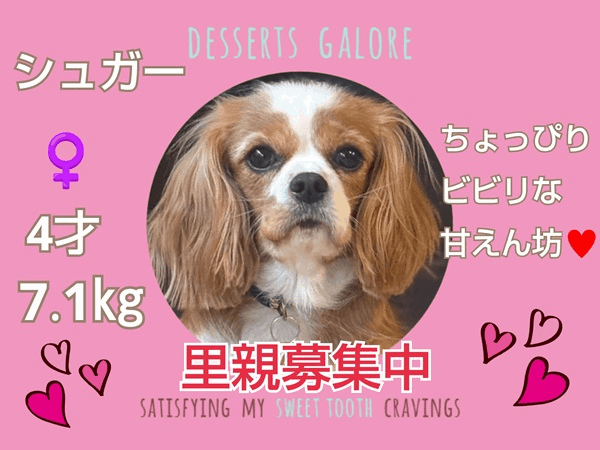 募集中.gif