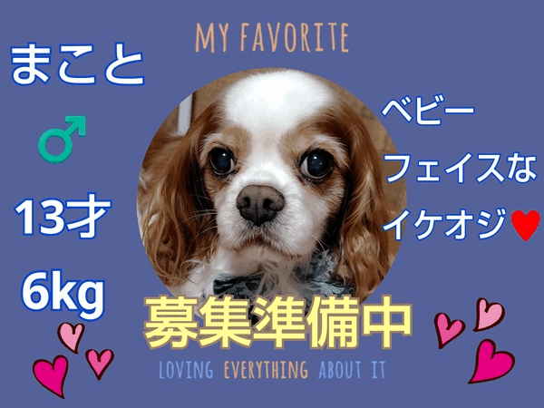 募集中.gif
