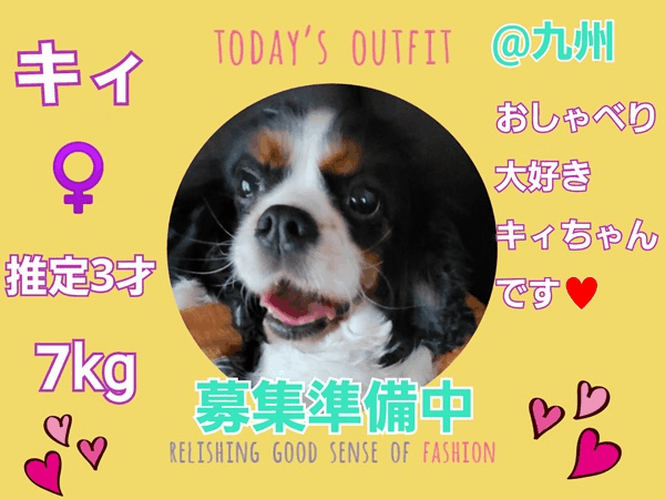 募集中.gif