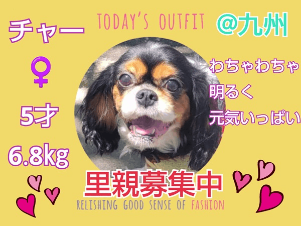 募集中.gif