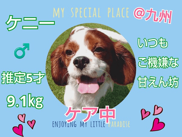 募集中.gif