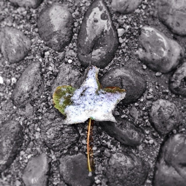 Instagram - #igersitalia #igersasti #ig_piemonte #igfriends_sicilia #igf_ff #igf