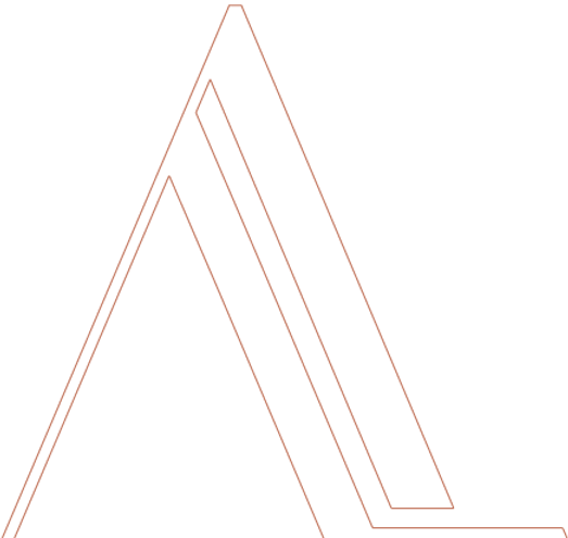logo ana