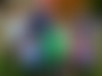 Looking Back with Gratitude: Another Incredible Year at Camp Good Days