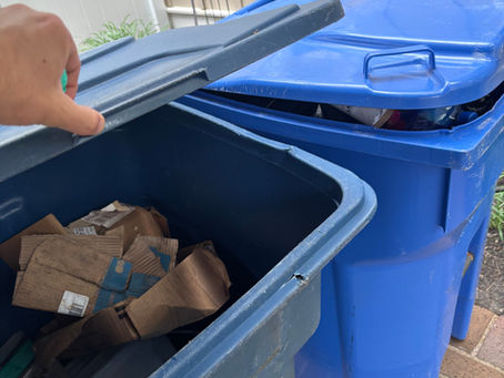 DIY vs. Professional Trash Can Cleaning: Why This Is Not Child’s Play